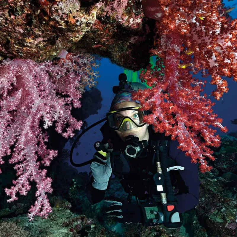 Princeton Tec AMP 1L-1