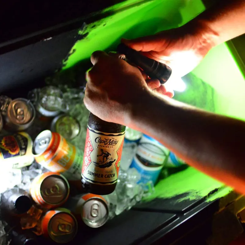 Princeton Tec AMP 1L-2